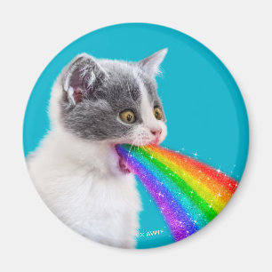 Kattungar upp regnbåge magnet