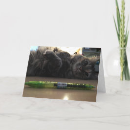 kattungatkort nr 2 kort