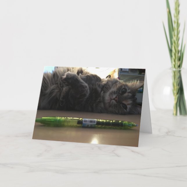 kattungatkort nr 2 kort (Framsida)