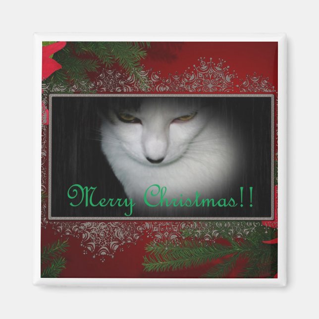 Kattunge Älskare jul! Magnet (Framsidan)