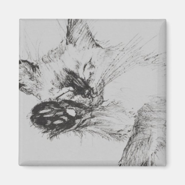 Kattunge "Baby" Magnet (Framsidan)