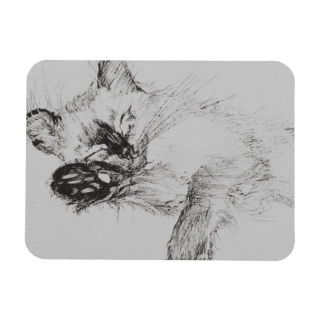 Kattunge "Baby" Magnet (Horisontell)