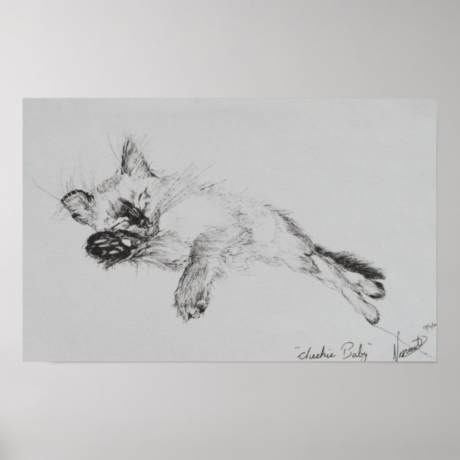 Kattunge "Baby" Poster (Framsidan)