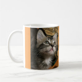 Kattunge "behålla som tittar upp!", Mugg