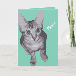 Kattunge Big Ögon kommer bra Kort