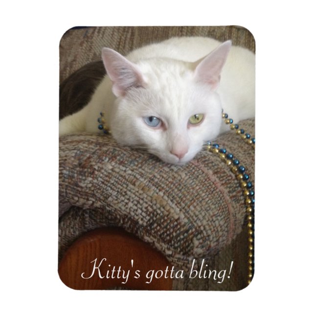 Kattunge Bling Photo Magnet (Vertikal)