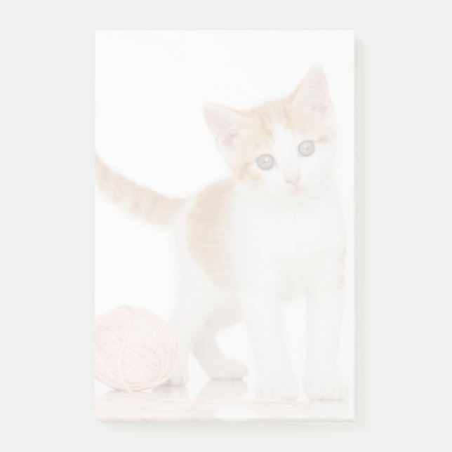 Kattunge bredvid Boll av sträng Post-it Block (Framsida)