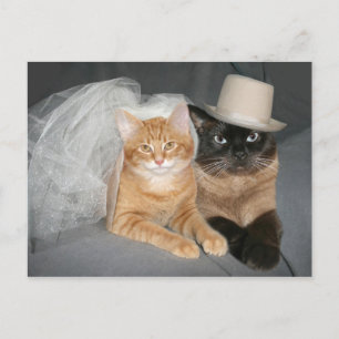 Kattunge Bride och Groom Vykort