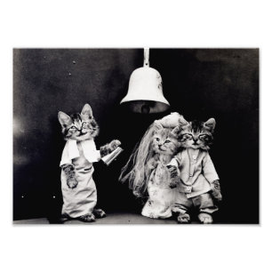 Kattunge Bröllop Fototryck