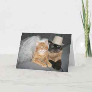 Kattunge brud och groom kort