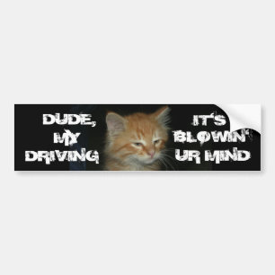 Kattunge Bumper-etikett för "DUDE DRIVIN BLOWIN' U Bildekal