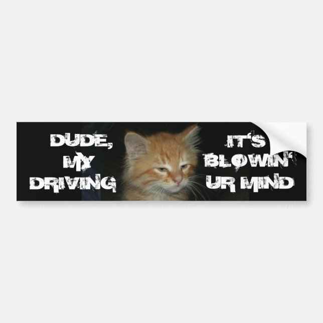 Kattunge Bumper-etikett för "DUDE DRIVIN BLOWIN' U Bildekal (Framsidan)