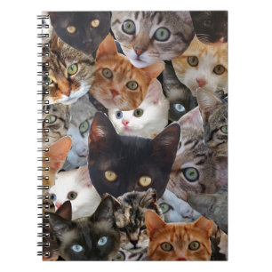 Kattunge Collage Anteckningsbok Med Spiral