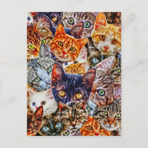Kattunge Collage Vykort