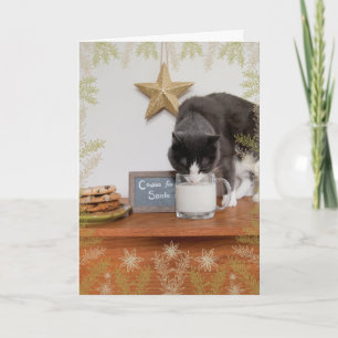 Kattunge Cookies for Santa Helgkort