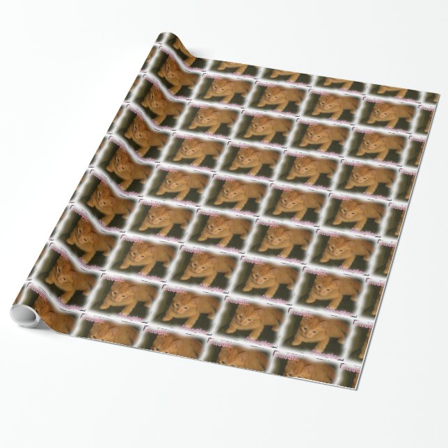 Kattunge "Cuddle Monster" (Papper) Presentpapper (Utrullad)