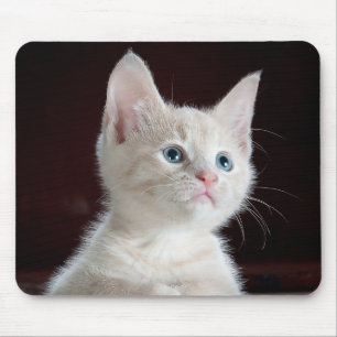 Kattunge Cutie Musmatta