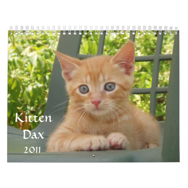 Kattunge Dax 2011 Kalender (Omslag)