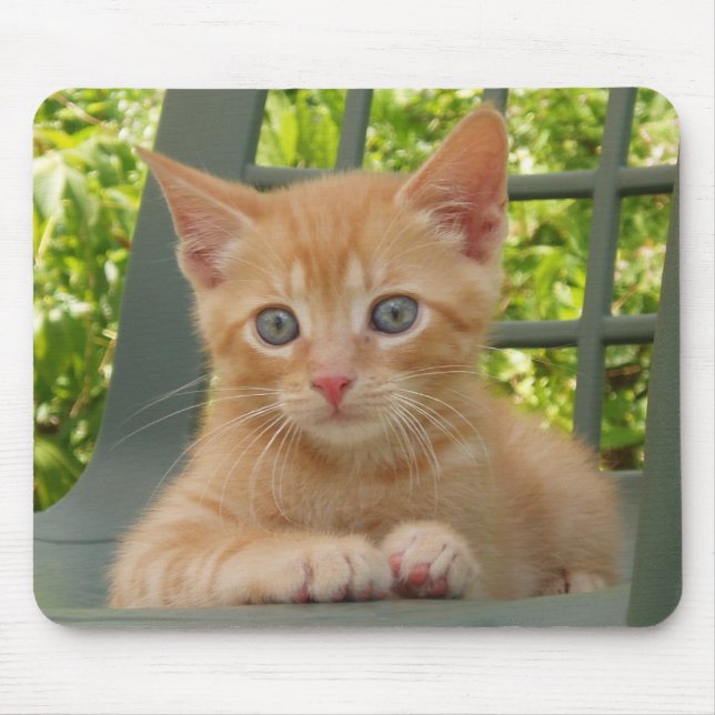Kattunge Dax Mousepad Musmatta (Framsidan)