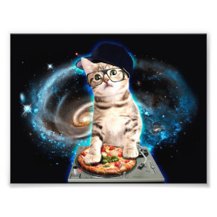 kattunge dj katt fototryck
