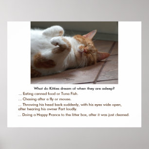 Kattunge dröm om Poster eller utskrift