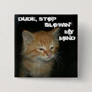 Kattunge "DUDE, STOP BLOWIN'MY MIND"-Knappen Knapp