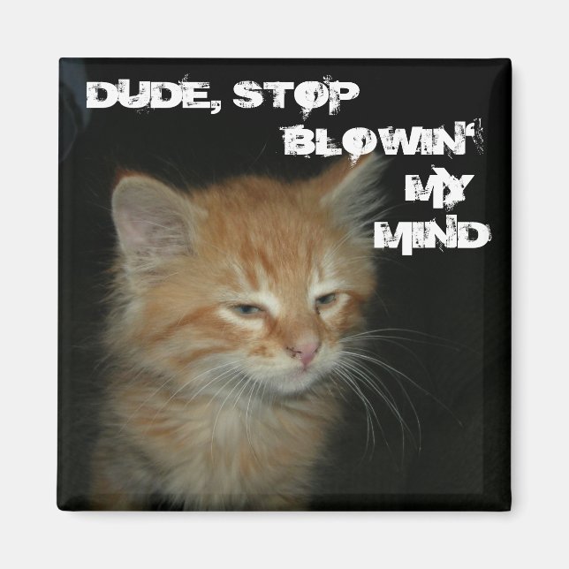 Kattunge "DUDE, STOP BLOWIN'MY MIND" Magnet (Framsidan)