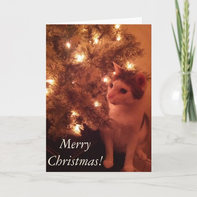 Kattunge efter Julgran-hälsningskortet Helgkort (Framsida)