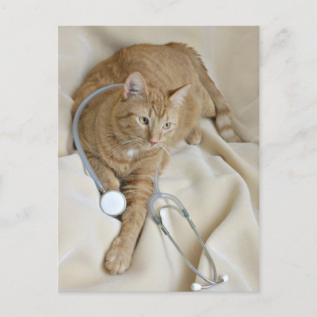 Kattunge får bra vykort (Framsida)