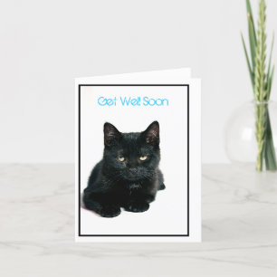 kattunge får väl snart kort