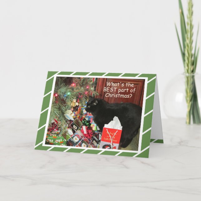 Kattunge Favorite Sak julkort Helgkort (Framsida)