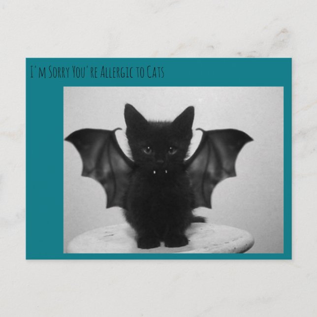 kattunge fladdermus vykort (Framsida)