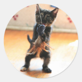 Kattunge flygfiske runt klistermärke