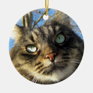 Kattunge för Maine Coonkatt Julgransprydnad Keramik