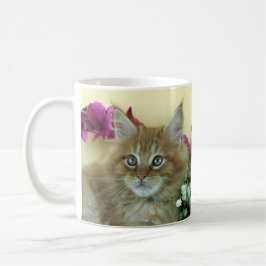 Kattunge för muggMaine Coon Kaffemugg