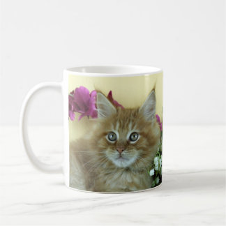 Kattunge för muggMaine Coon Kaffemugg