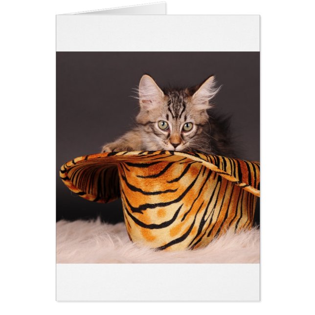 Kattunge för stennrulle hälsningskort (Framsidan)