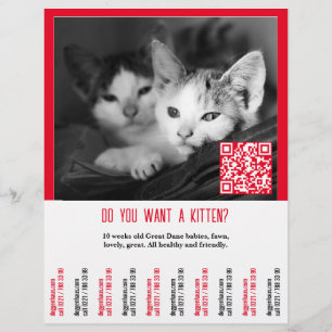 Kattunge Försäljning Flyer