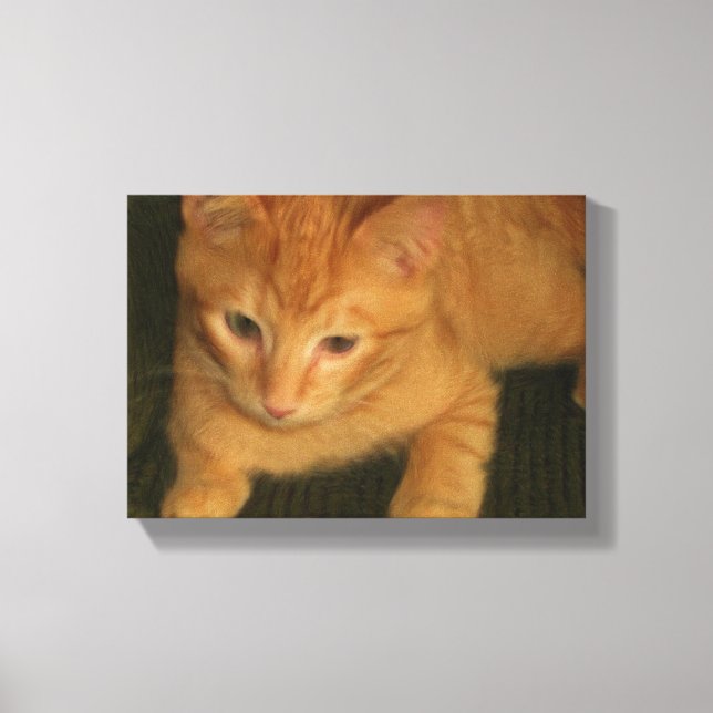 Kattunge-foto på Canvas (Framsida)