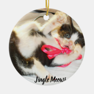 Kattunge Foto Text Jingle Meows, Anpassa, Julgransprydnad Keramik