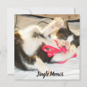 Kattunge Foto Text Jingle Meows, Anpassa, Julkort