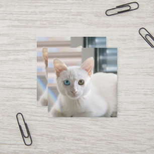 KATTUNGE FYRKANTIGT VISITKORT