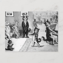 Kattunge ger en konsert vykort