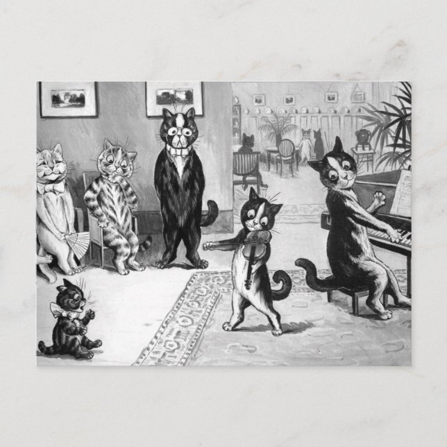 Kattunge ger en konsert vykort (Framsida)