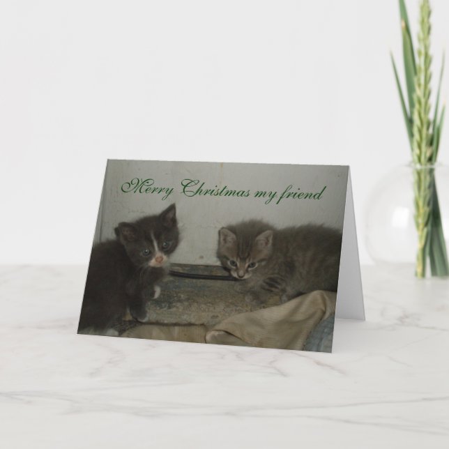 KATTUNGE, GOD JUL MY FRIEND Card Helgkort (Framsida)