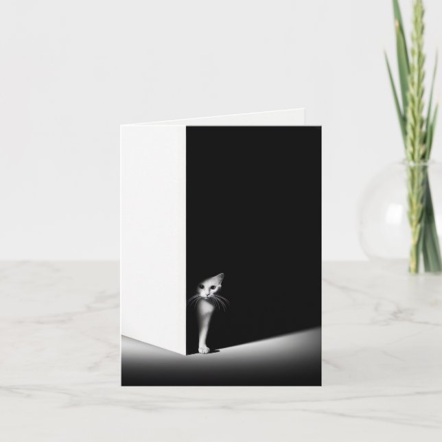 Kattunge gömmer sig i mörk skugga kort (Framsida)