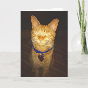 Kattunge gör en önskvärd födelsedag kort