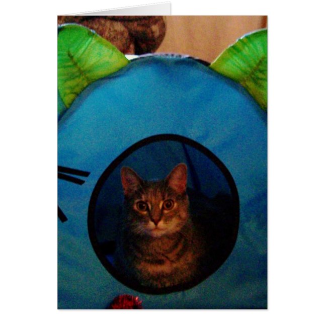 Kattunge Hälsningskort (Framsidan)