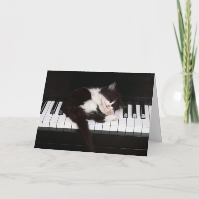 Kattunge-hälsningskort Kort (Framsida)