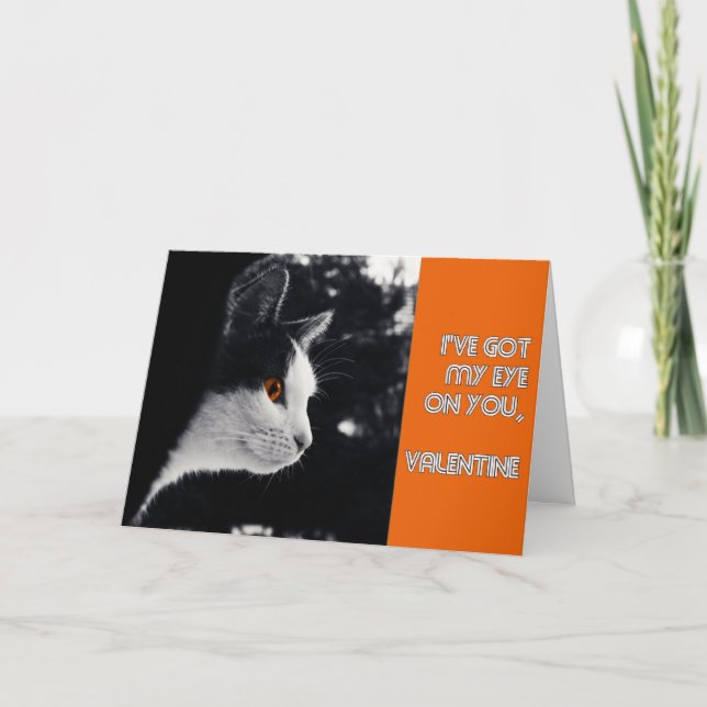 kattunge har hans öga på er moderna valentin helgkort (Framsida)
